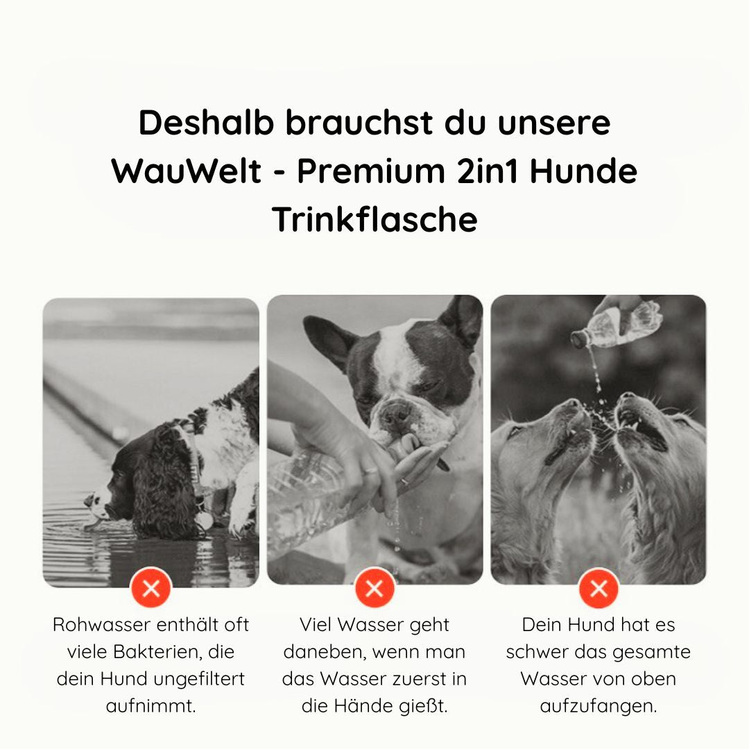 WauWelt - Hunde Trinkflasche mit Rücklauf-Funktion