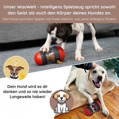 WauWelt - Intelligenz-Spielzeug für Hunde